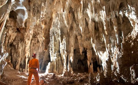 Private Day Trip to Alistrati Cave and Lazaridi Winery