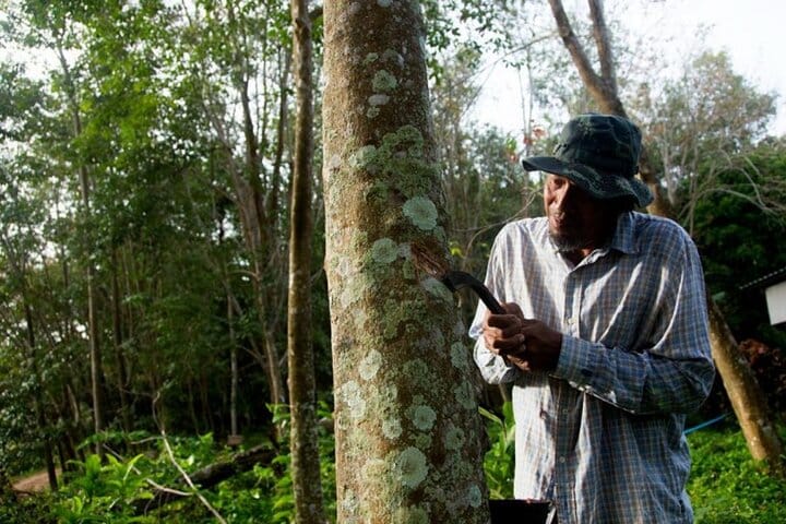 Koh Yao Native Touch & Thai cooking class
