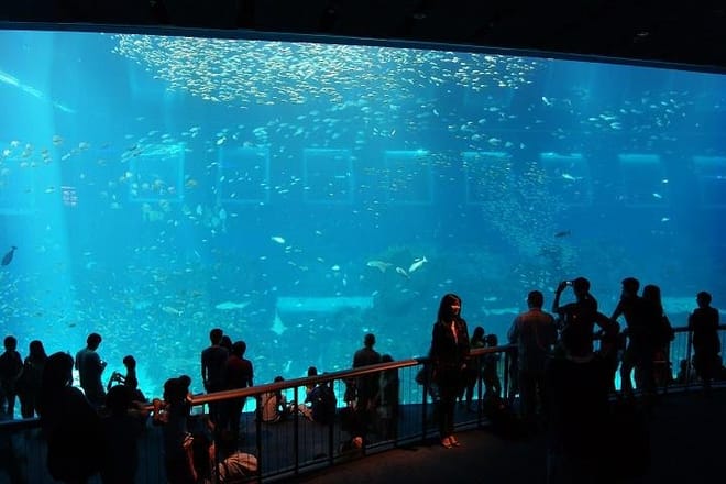 S.E.A. Aquarium