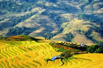 1 Day Sapa Tour Explore Y Linh Ho And Lao Chai And Ta Van Village