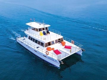 Amazing Coral Island & Sunset Dinner with Power Catamaran
