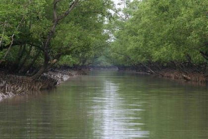 Kolkata, Sundarbans Mangrove Forest & Eastern Himalaya