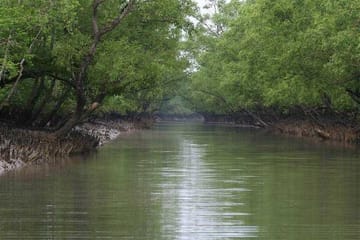 Kolkata to Sundarbans and Eastern Himalayas 10-Day Tour
