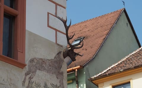 Small-Group Cultural Day Trip to Sighisoara and Rupea from Brașov