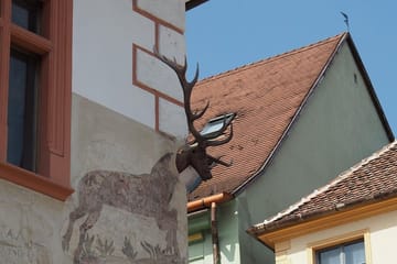 Small-Group Cultural Day Trip to Sighisoara and Rupea from Brașov