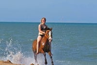 Hurghada : Horse Riding 2 Hours Sea & Desert with Transfer 8