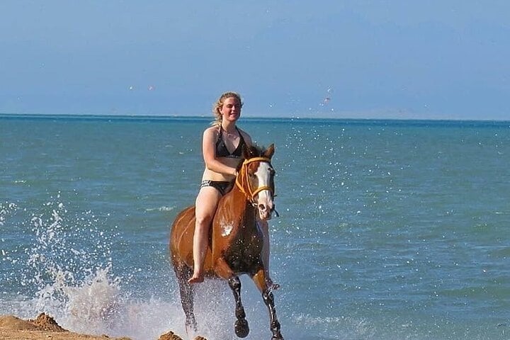 Hurghada : Horse Riding 2 Hours Sea & Desert with Transfer 8