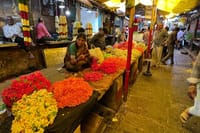 Full Day Private Guided Tour of Mysore 7