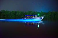 Kuala Selangor Fireflies & Blue Tears Guided Tour w Dinner (SIC) 4