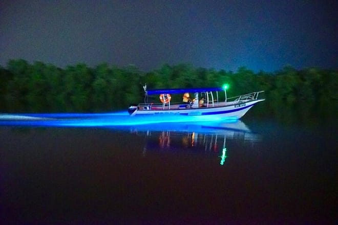 Kuala Selangor Fireflies & Blue Tears Guided Tour w Dinner (SIC) photo 4
