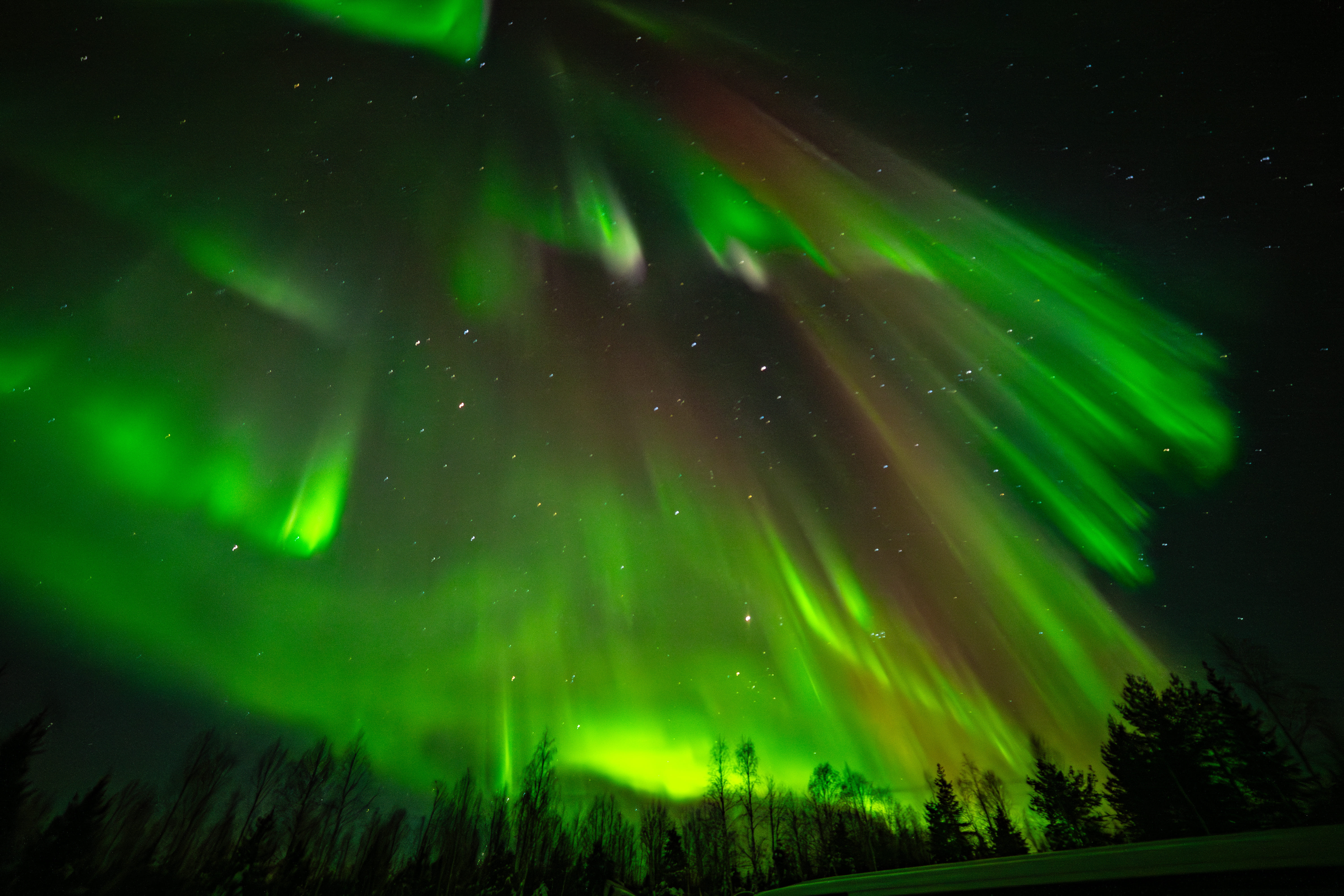 StayLapland Professional Small Group Northern Lights Hunting Tour from Rovaniemi – Guaranteed