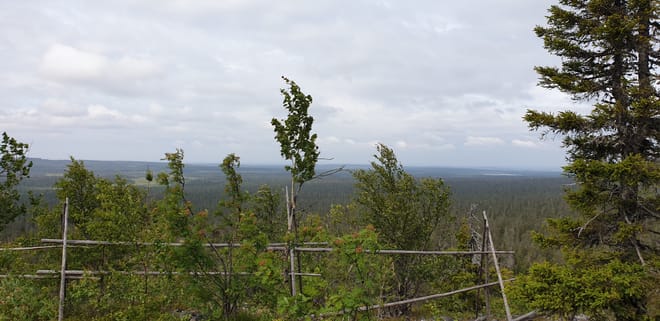 Summer Excursion to the Amethyst Mine in Luosto 8