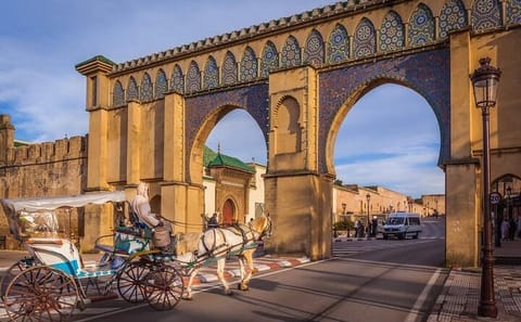 Private 2-Day Cultural Tour of Fes and Chefchaouen from Casablanca