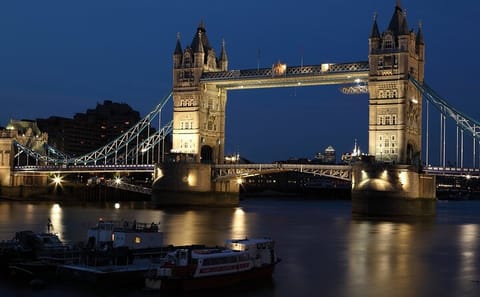 New Year's Eve Fireworks Cruise in London with Unlimited Drinks