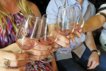 Troodos Grape Escape Tour from Larnaca: Wineries and Villages