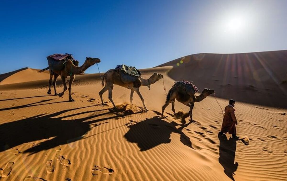 3 Days Desert Tour to Fes from Marrakech
