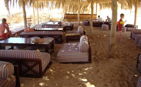 Snorkeling and Relaxation at Paradise Island from Hurghada