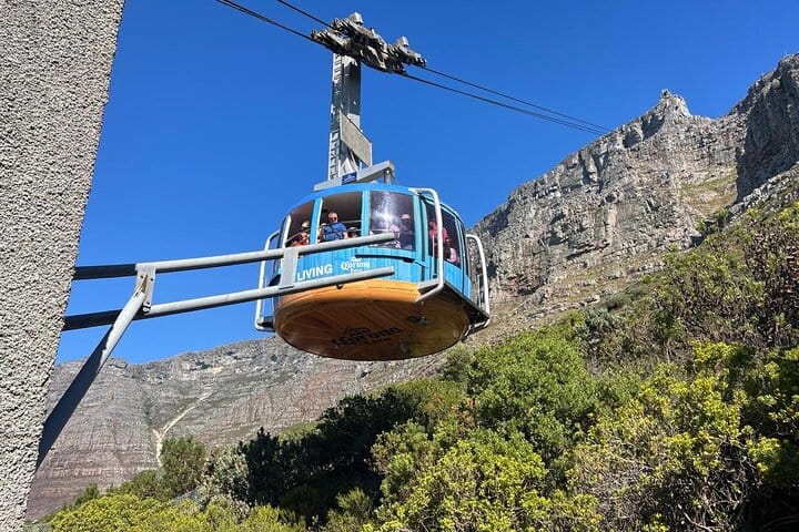 Full-Day Cape of Good Hope and Table Mountain with Penguins Tour