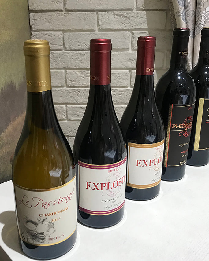 Villa Sintica Wine Tasting Tours & Activities 2