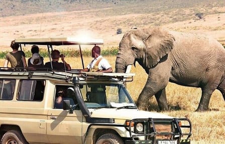 3 Days Masai Mara Flying Safari & Hot Air Balloon Ride Package
