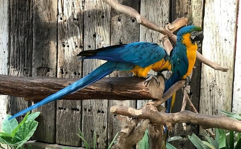 Private Cape Town City Tour with Table Mountain and Wine Tasting