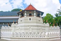 Kandy City Tour Experience from Kandy  2