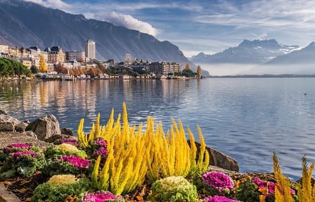 Montreux Musical Heritage Tour: Freddie Mercury to Jazz Legends