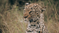 6 Days Kenya Signature Safari 1