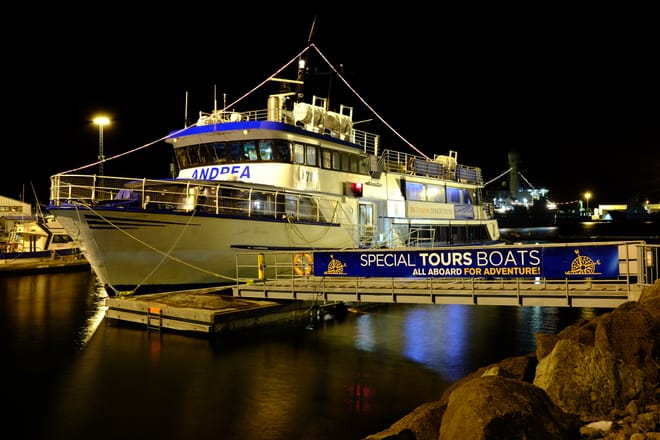 New Years Firework Cruise photo 6