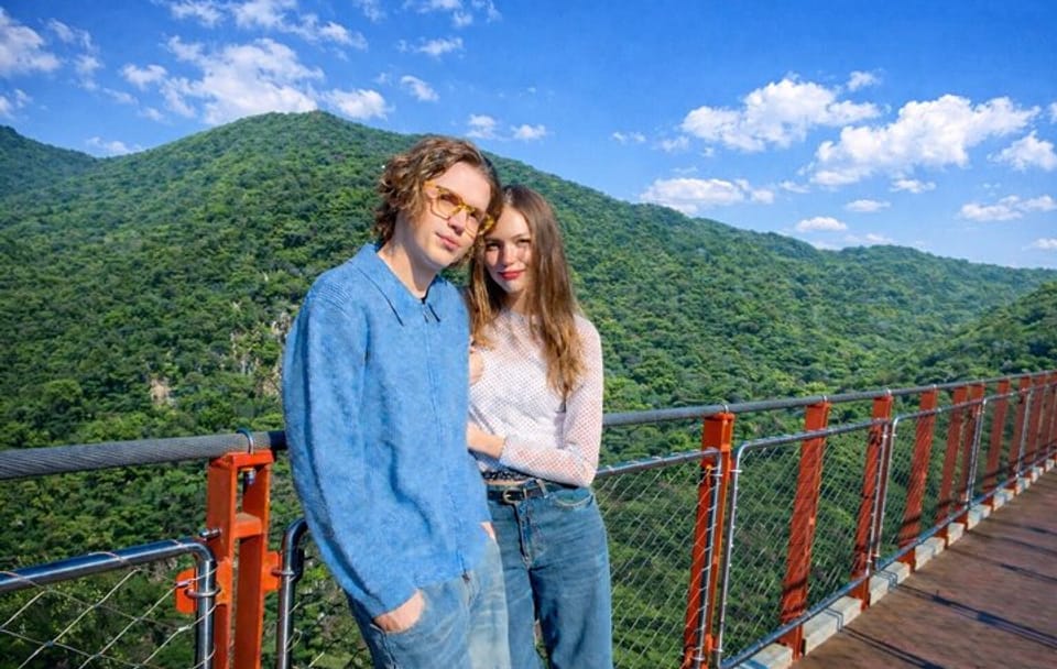 Private DMZ Tour and Suspension Bridge + Korean BBQ