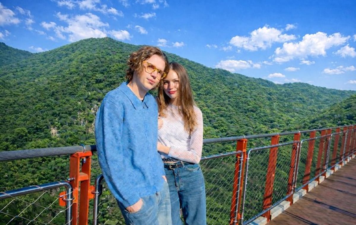 Private DMZ Tour and Suspension Bridge + Korean BBQ