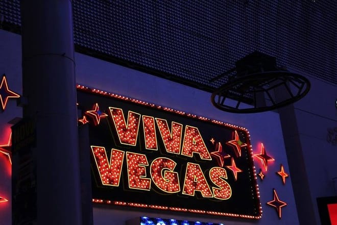 Las Vegas Night-Time Scorpion and Black Widow interactive virtual hunting  6