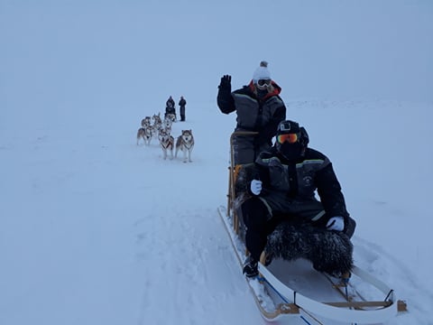Dogsledding in the snow
