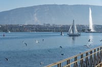 Geneva Private Walking Tour with a Local Guide 3