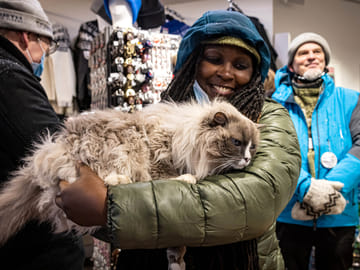 One of the many cats you will get to know during our Private Reykjavik Catwalk
