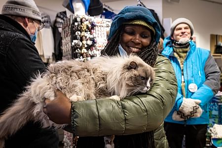 Private Cat-Themed Walking Tour in Downtown Reykjavik