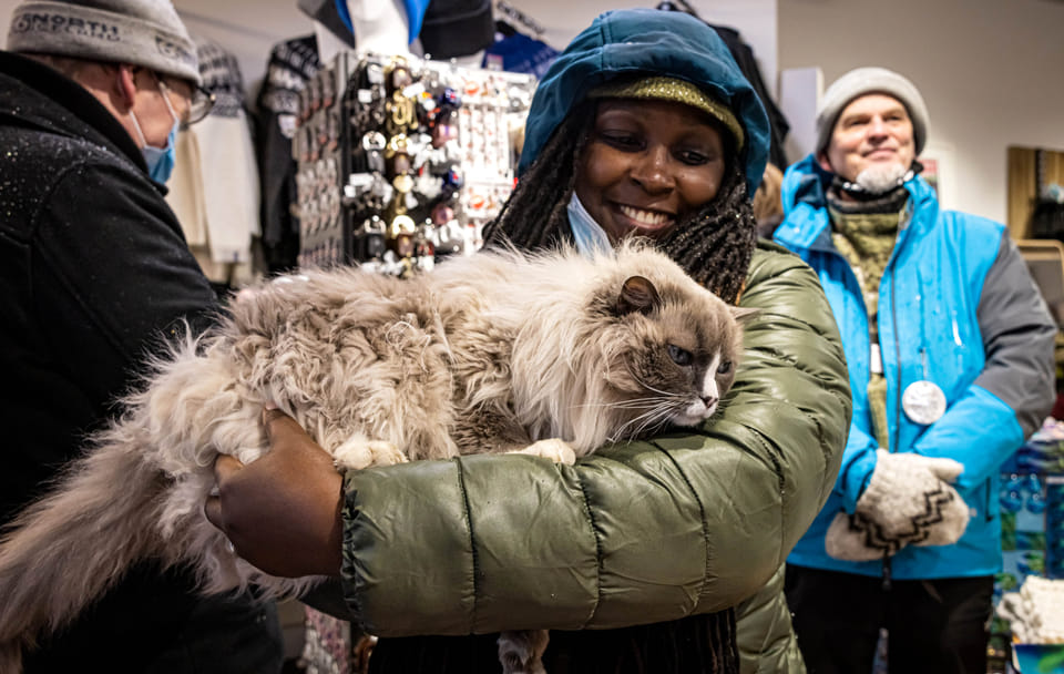 Private Reykjavik CatWalk