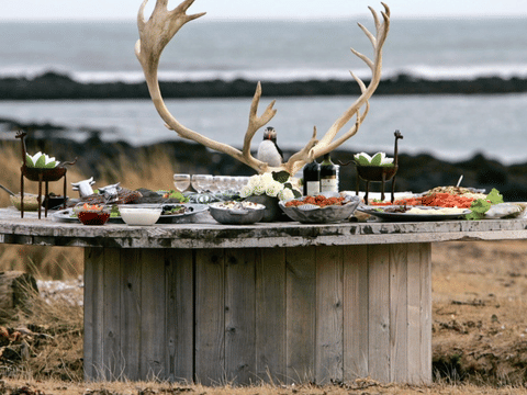 Arctic Table, photo 5
