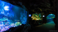 Underwater World Pattaya Ticket 5