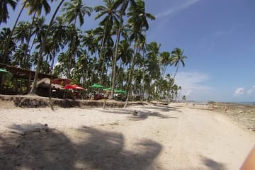 Catamaran Day Trip to Carneiros Beach from Recife