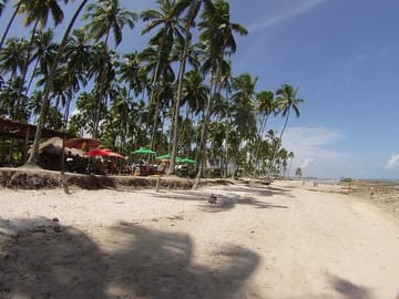 Catamaran Day Trip to Carneiros Beach from Recife