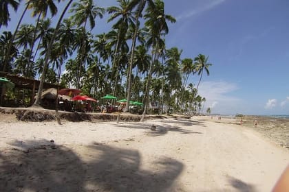 Tour The Sheep Beach With Catamaran