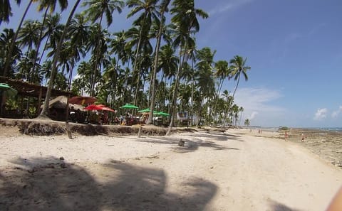 Catamaran Day Trip to Carneiros Beach from Recife