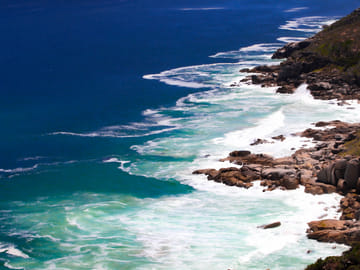 Cape of Good Hope and Boulder's Beach Full Day Tour