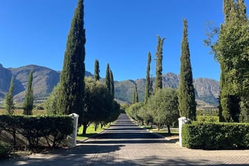 Franschhoek Wine Tram and Wine Tasting Tour with Tram Ticket