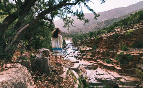 Half-Day Paradise Valley Tour from Agadir