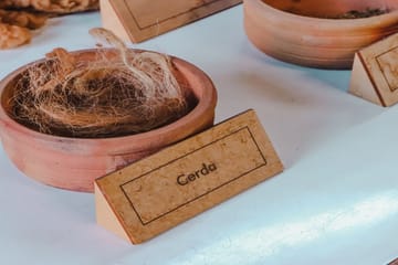 Arequipa City Walking Tour and Juanita Mummy Experience