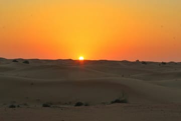 Private Dubai Day Tour with Desert Safari and City Sightseeing