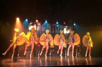 Traditional Dancing and Musical Show in Rio – (Pick-up and Drop-off Included)  2