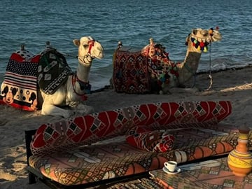 La Tenda Hurghada Arabian Nights Show with Dinner Folklore